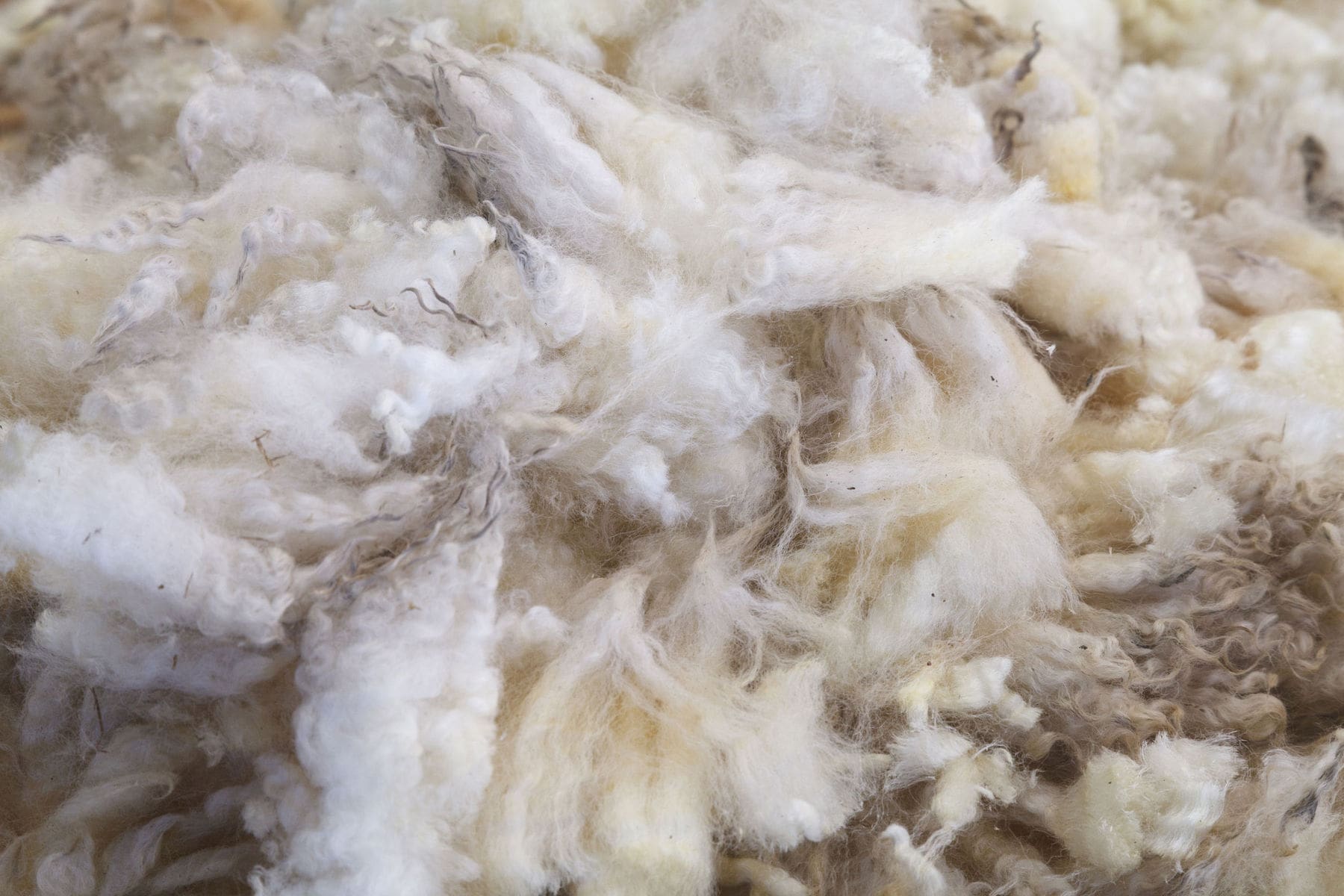 Different types of asbestos discovered