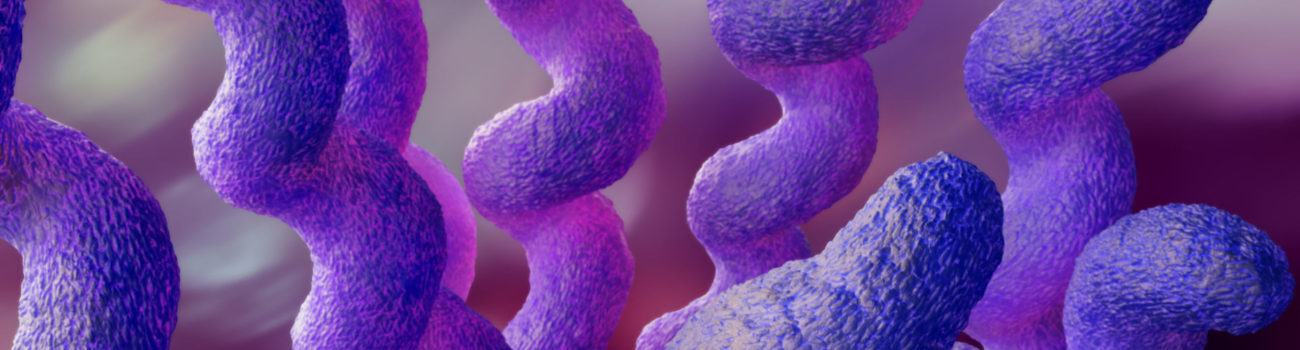 campylobacter bacteria campylobacter bacteria