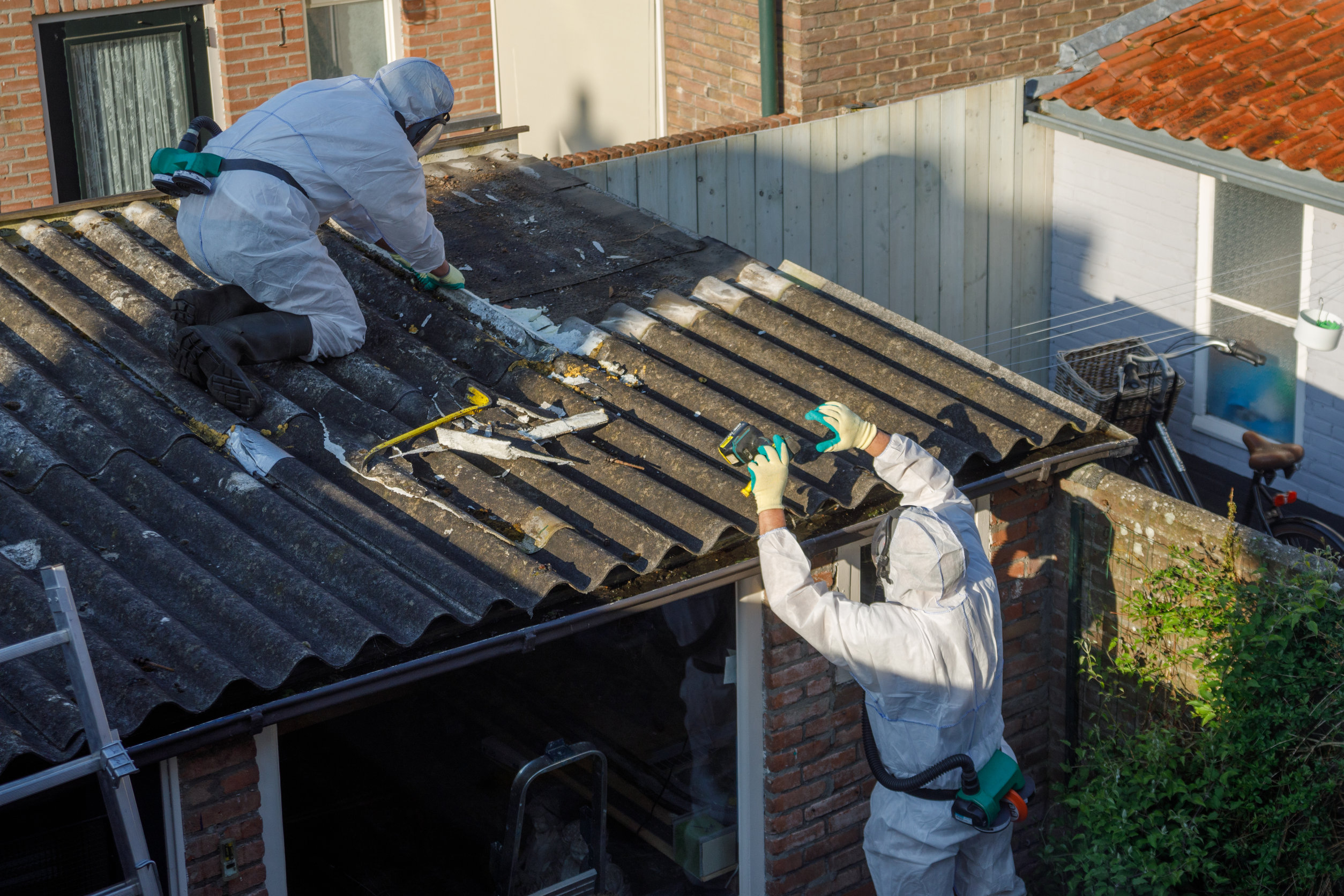 Asbestos Services Near Me